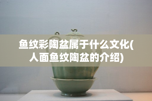 鱼纹彩陶盆属于什么文化(人面鱼纹陶盆的介绍)